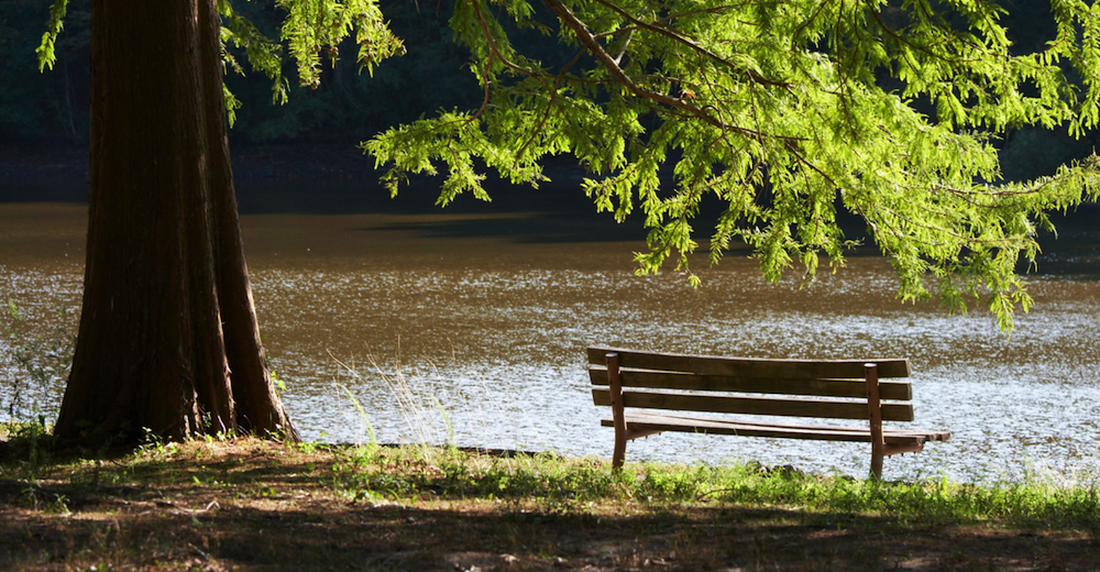 Oak Ridge Property Managers